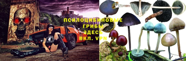 a pvp Надым