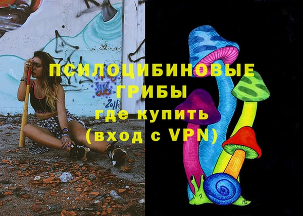 a pvp Надым