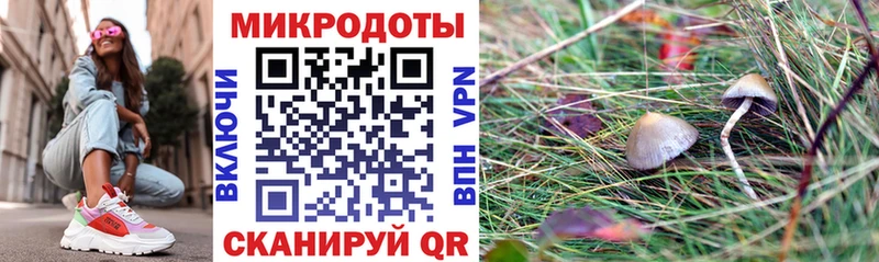 Псилоцибиновые грибы ЛСД  Томилино 